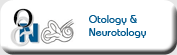 Otology & Neurotology